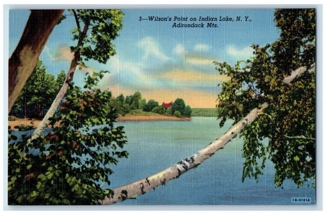 c1950's Wilson's Point on Indian Lake Adirondack Mts. New York NY Postcard