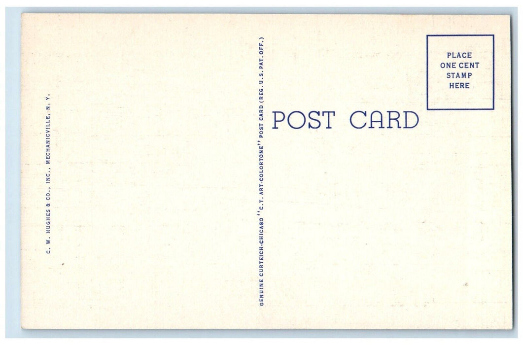c1950's Wilson's Point on Indian Lake Adirondack Mts. New York NY Postcard
