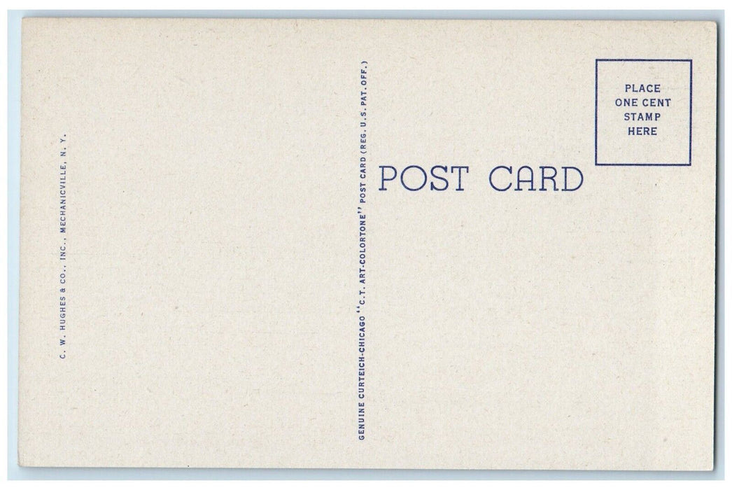 c1940's Piseco Lake Point Comfort Camp Site Adirondack Mts. Piseco NY Postcard