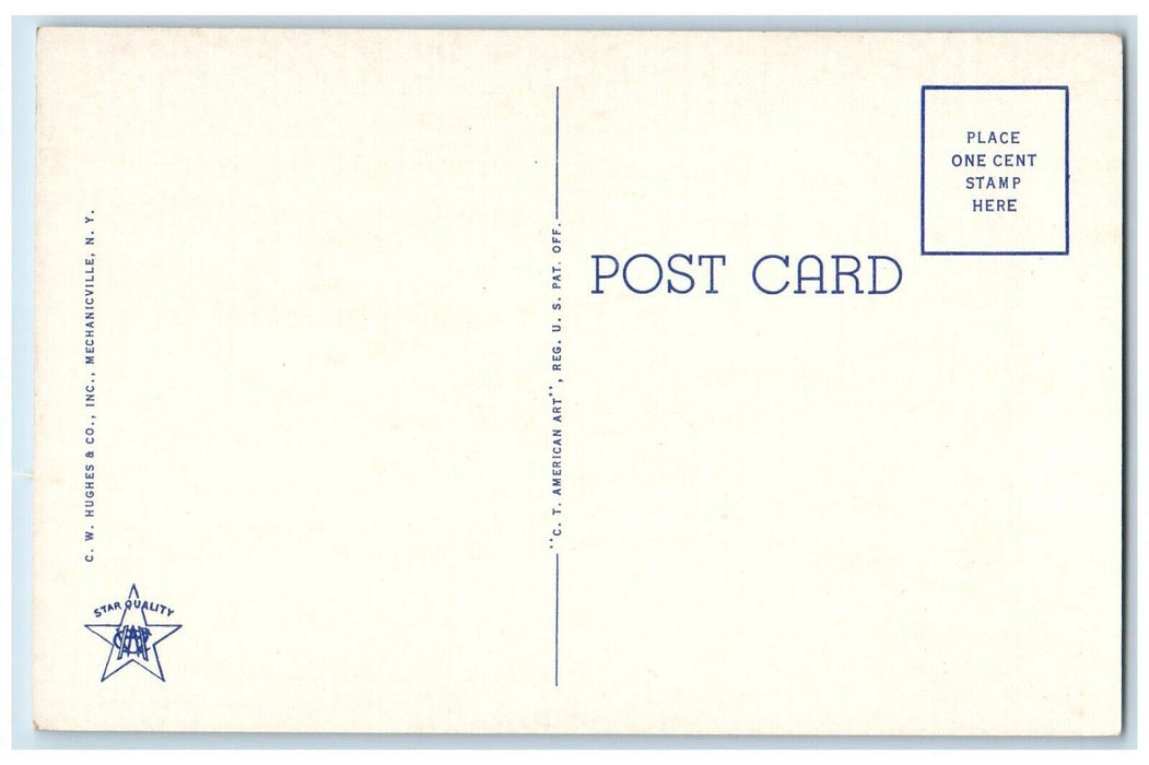 c1930's Piseco Lake NY From Pine Hill Adirondack Mts. New York NY Postcard
