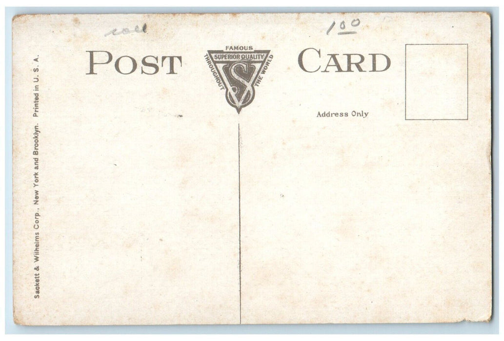 c1910's Eagle Hotel Building Peekskill New York NY Unposted Antique Postcard