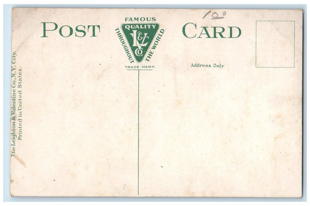c1910's Oakside School Building Dirt Road Peekskill New York NY Antique Postcard