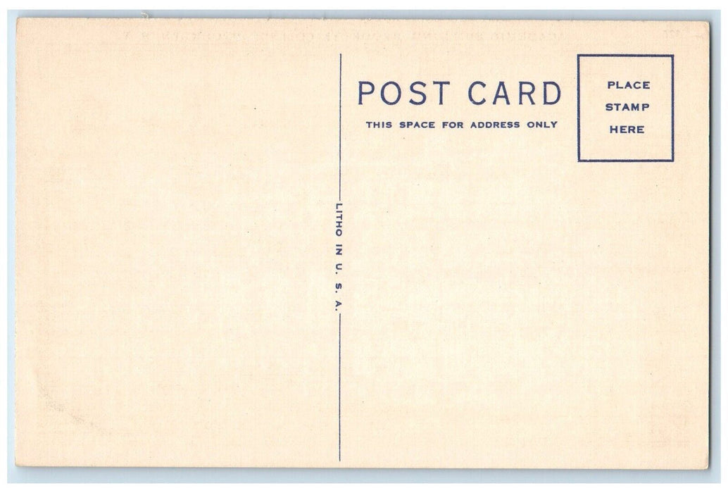 c1930's Academic Building Brooklyn College Brooklyn New York NY Postcard