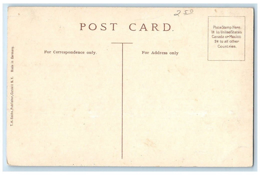 c1910's View Of Pratt Rocks Prattsville New York NY Unposted Antique Postcard