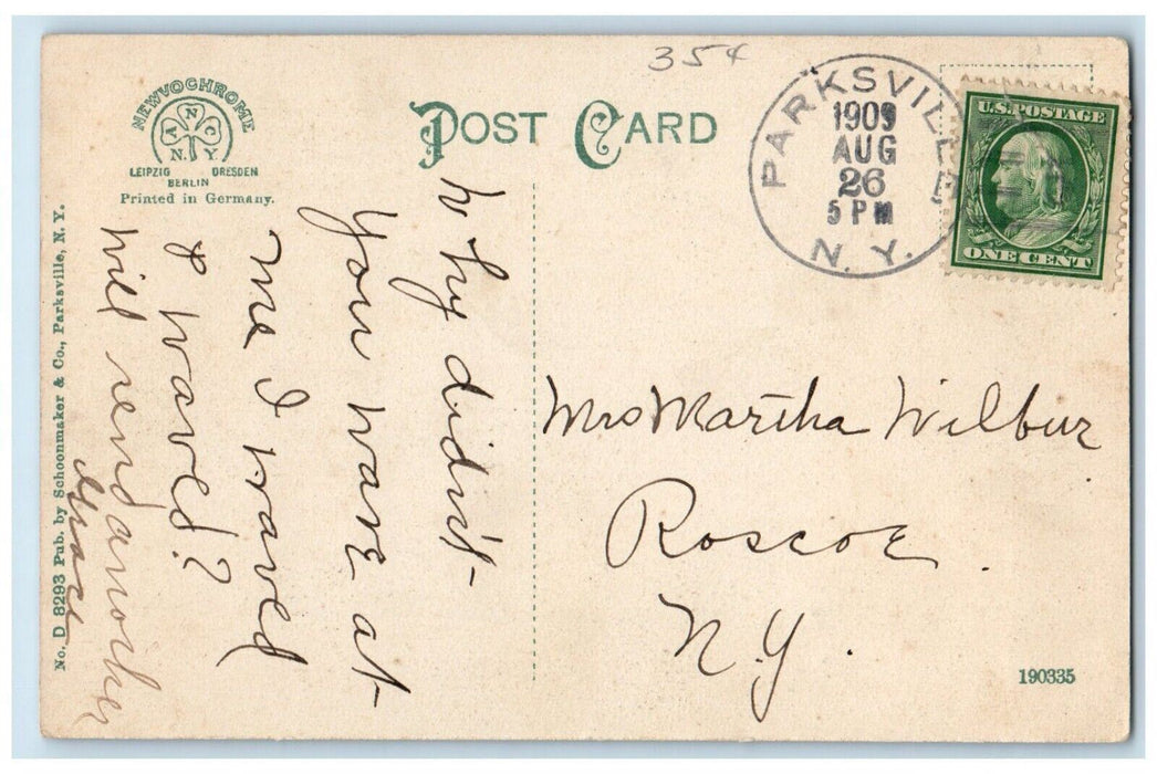 1909 The Twin Falls Waterfalls Parksville New York NY Posted Antique Postcard