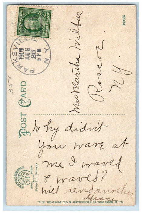 1909 The Twin Falls Waterfalls Parksville New York NY Posted Antique Postcard