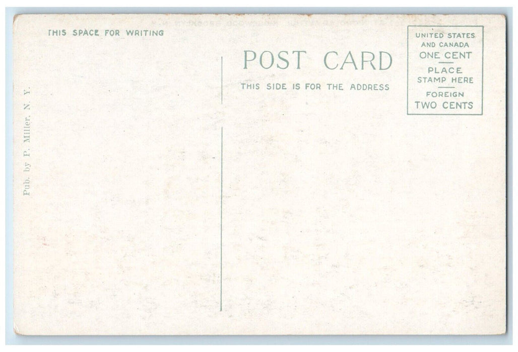 c1920's Public School St. Nicholas Avenue Brooklyn New York NY Postcard