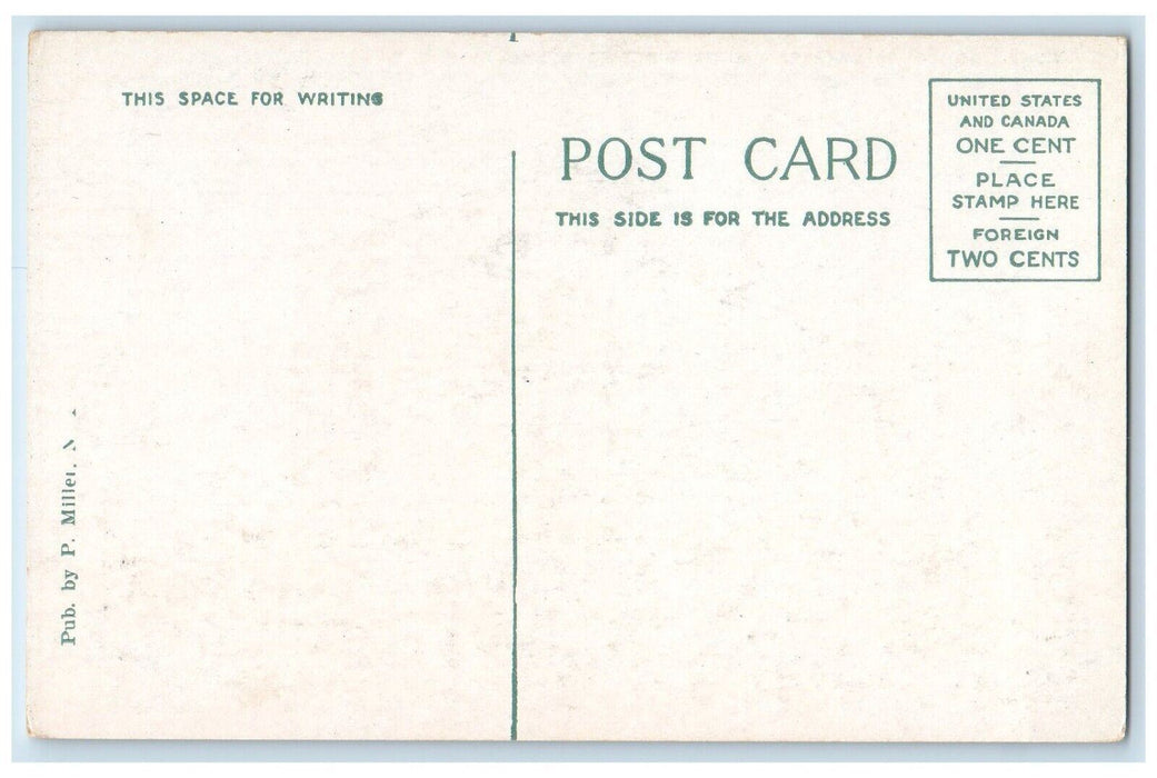 c1920's Public School 88 Catalpa Avenue Brooklyn New York NY Postcard