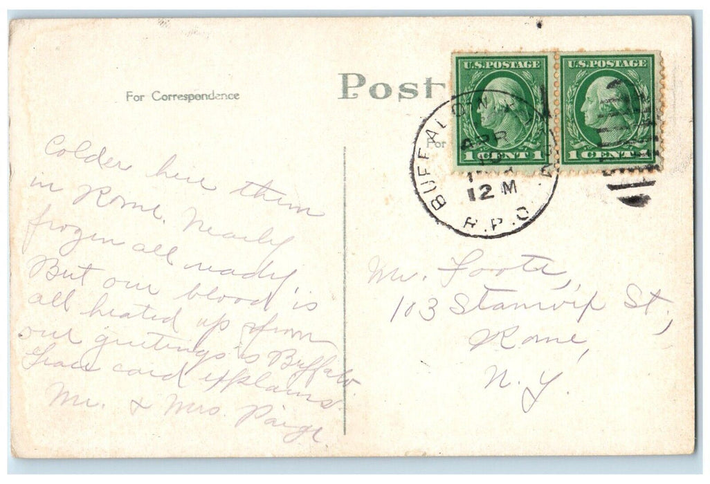 c1930's Bridge Cazenovia Park at Moonlight Buffalo New York NY RPO Postcard