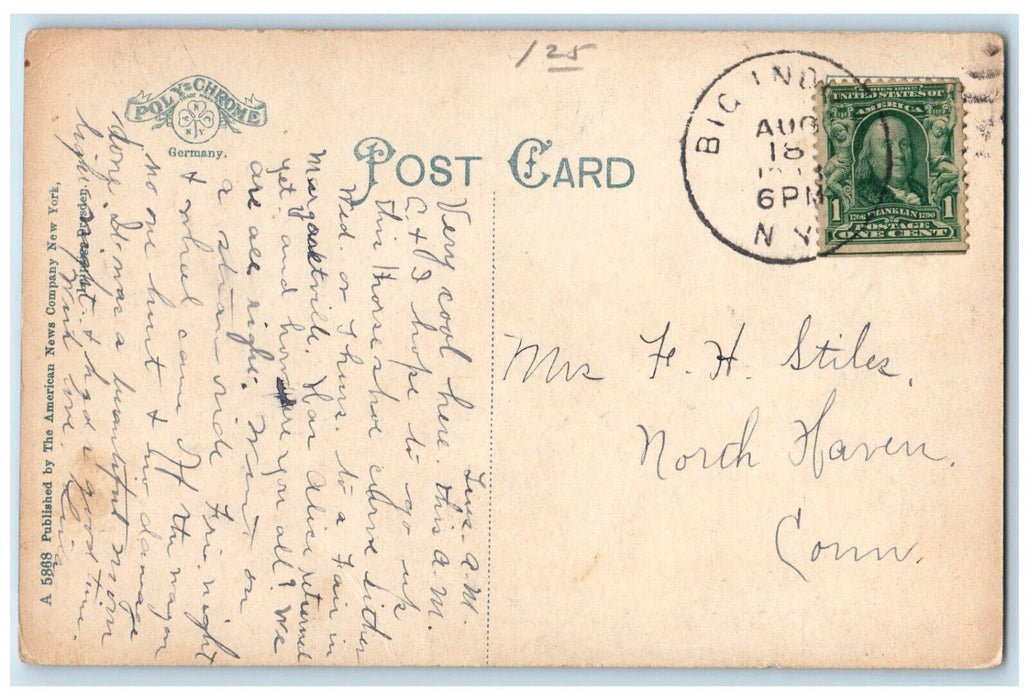 Looking Up Horse Shoe Curve Pine Hill Grand Hotel Catskill Mountains NY Postcard