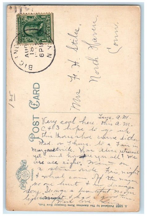 Looking Up Horse Shoe Curve Pine Hill Grand Hotel Catskill Mountains NY Postcard