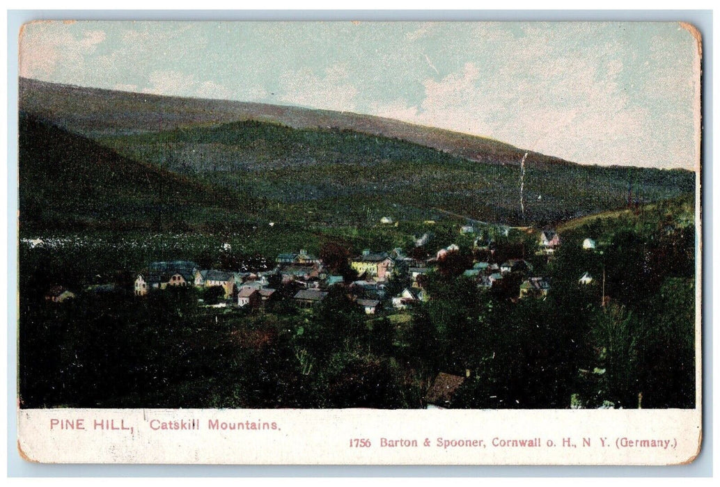 c1905 Birds Eye View Of Pine Hill Catskill Mountains New York NY Postcard