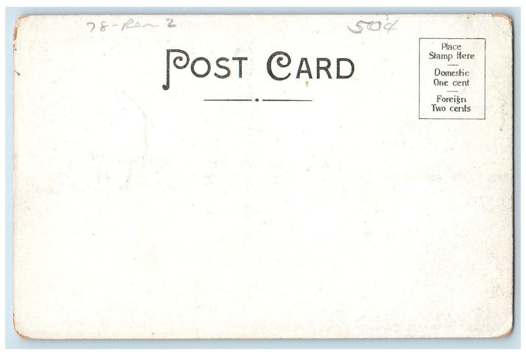 c1905 Birds Eye View Of Pine Hill Catskill Mountains New York NY Postcard