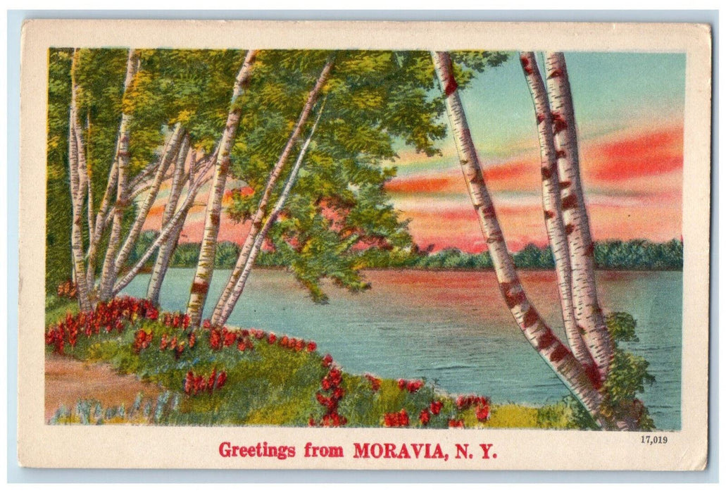 c1940's River Scene Greetings from Moravia New York NY Posted Lanscaped Postcard