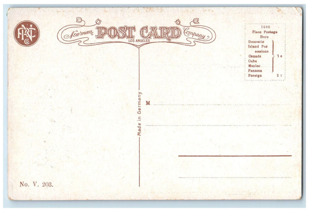 c1910 Panorama View Call Building Russian Hill San Francisco CA Postcard