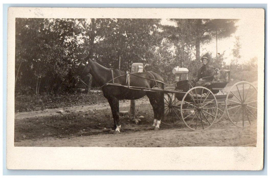 c1910's Girl Horse And Wagon Ride Dog Springfield MA RPPC Photo Antique Postcard