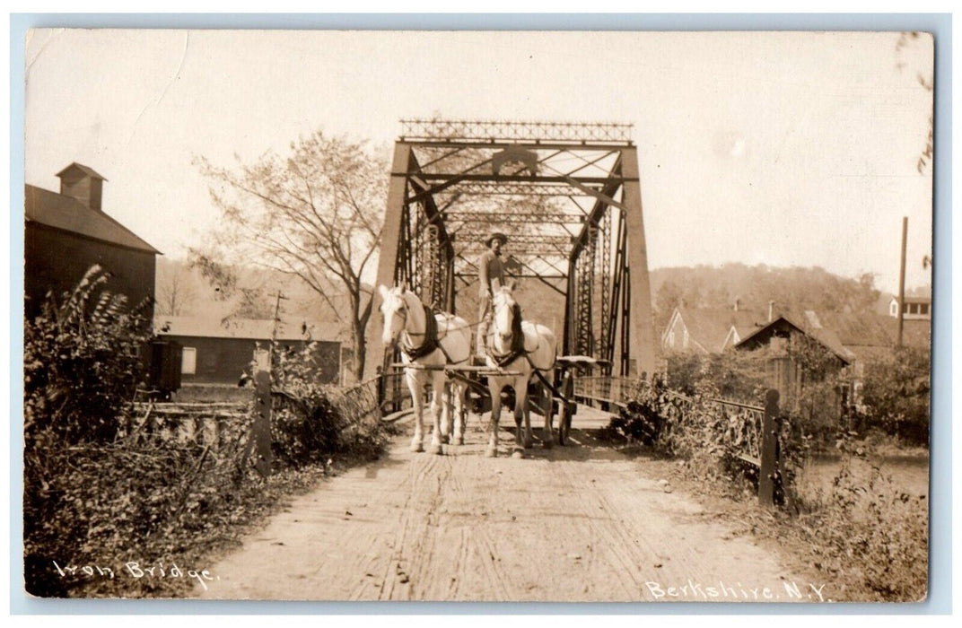 1911 Iron Bridge Horse And Wagon Berkshire New York NY RPPC Photo Postcard