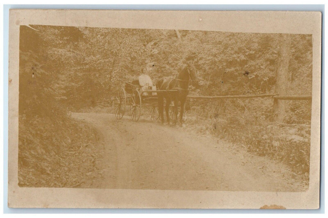 c1910's Boy Horse And Buggy Riding Dirt Road Trees RPPC Photo Antique Postcard