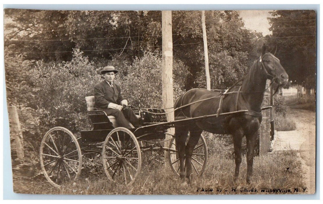 c1910's Boy Horse And Buggy Wilseyville New York NY RPPC Photo Antique Postcard