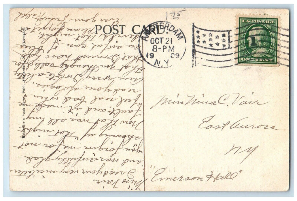 1909 Scenes Around Hanowers Lake Streetcar Flowers Amsterdam New York Postcard
