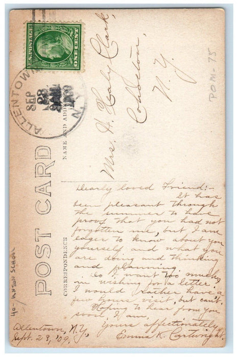 1909 Union School Building Scene Street Allentown NY RPPC Photo Antique Postcard