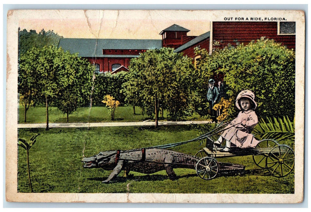 1922 Out for a Ride Florida Crocodile Carriage Lakeland Florida FL Postcard