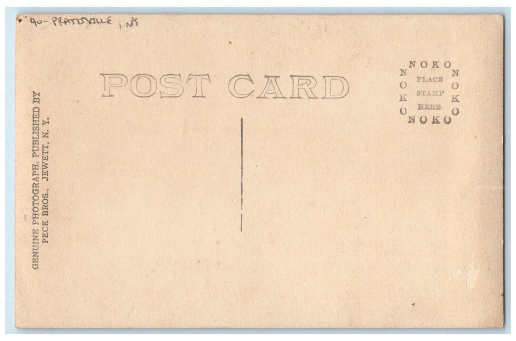 c1910's View From Pratts Rocks Prattsville New York NY RPPC Photo Postcard