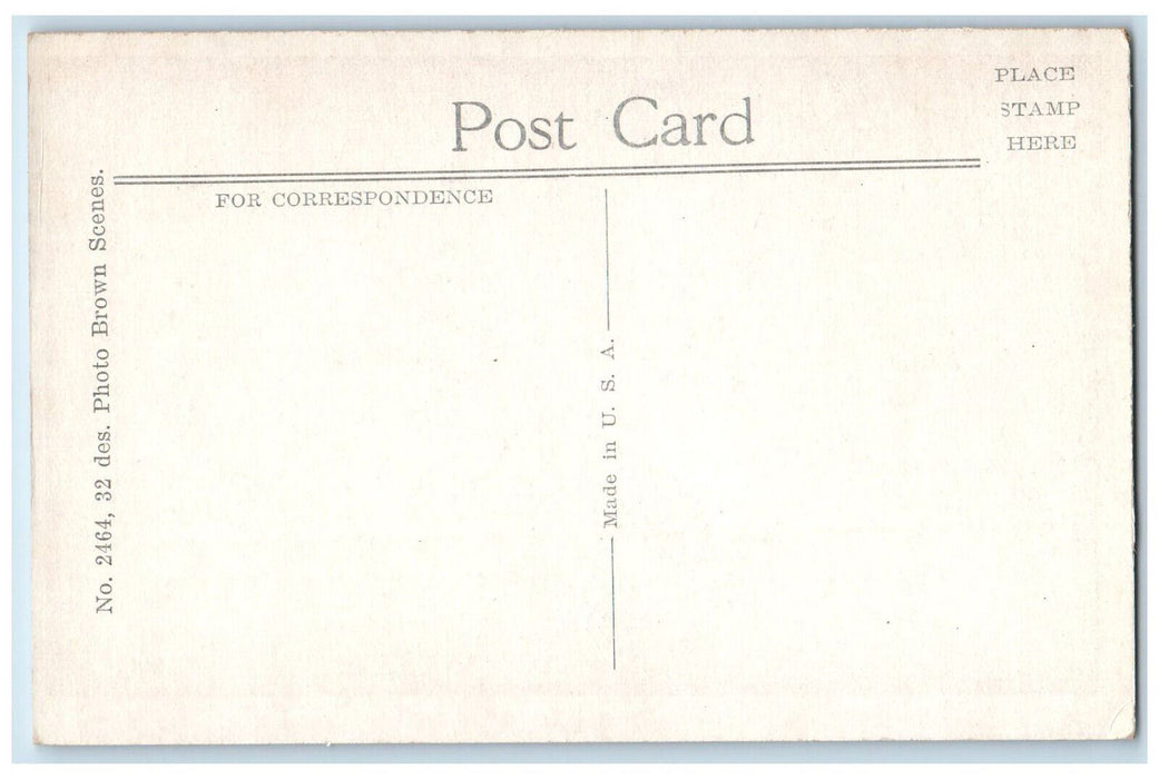 c1940's Trees Forest Pathway to River St. Joseph Michigan MI Unposted Postcard