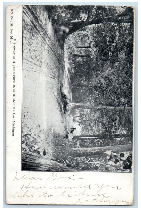 1908 Driveway at Higman Park Near Benton Harbor Michigan MI Posted Postcard