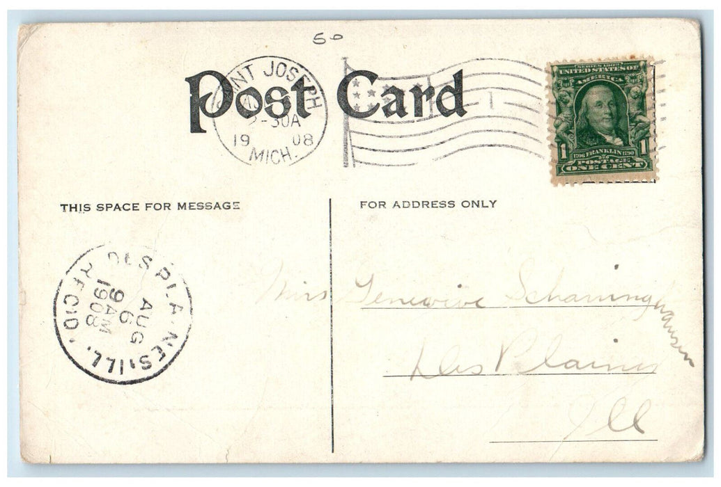 1908 Driveway at Higman Park Near Benton Harbor Michigan MI Posted Postcard