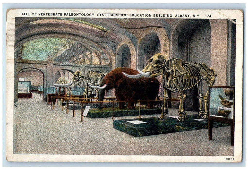 1920 Hall Vertebrate Paleontology Museum Education Building Albany NY Postcard