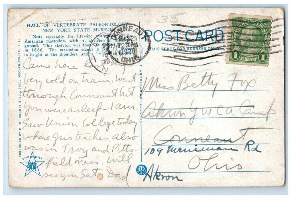 1920 Hall Vertebrate Paleontology Museum Education Building Albany NY Postcard