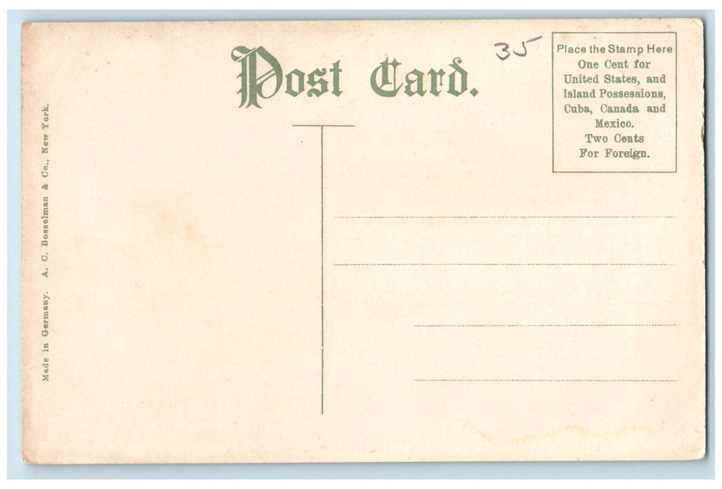 c1910 Madison Avenue Second Reformed Church Exterior Albany New York NY Postcard