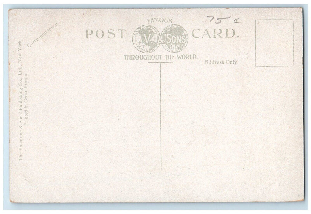 c1910 Public Market Lyon Block Building Exterior Street Albany New York Postcard