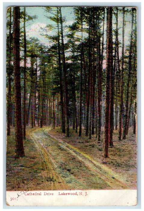 1908 Cathedral Drive Lakewood New Jersey NJ Lake Hurst NJ Posted Postcard