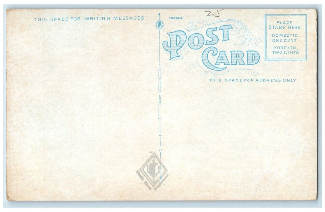 c1920 New York State Educational Building Exterior Albany New York NY Postcard
