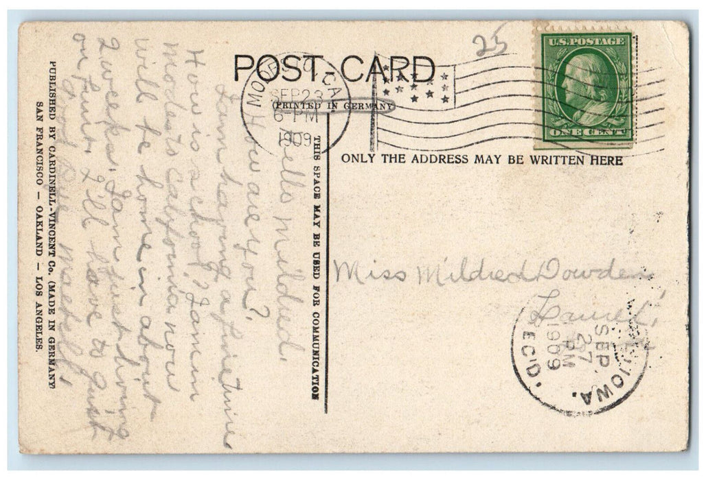 1909 Orange Trees Modesto California CA Antique Cardinel Vincent Co. Postcard