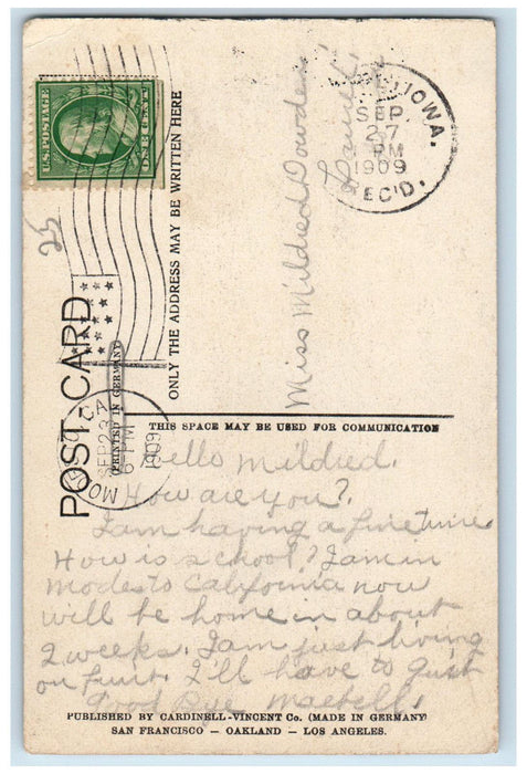 1909 Orange Trees Modesto California CA Antique Cardinel Vincent Co. Postcard