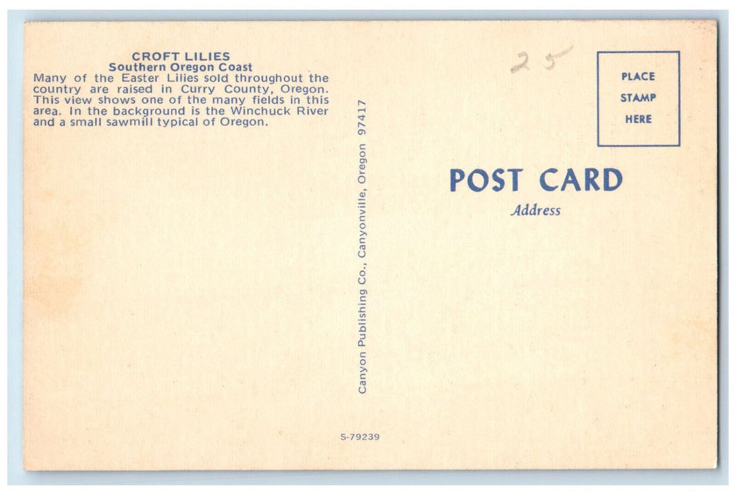 c1950's Croft Lilies Southern Oregon Coast Curry County Oregon OR Postcard