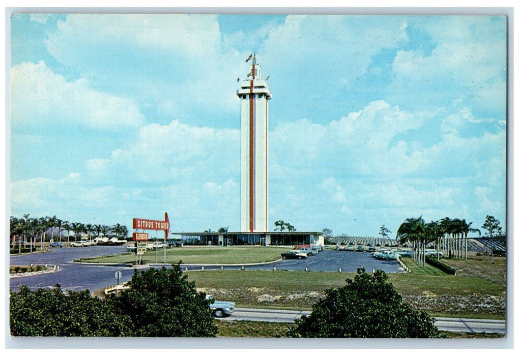 c1960's Citrus Observation Tower Attraction at Clermont Florida FL Postcard