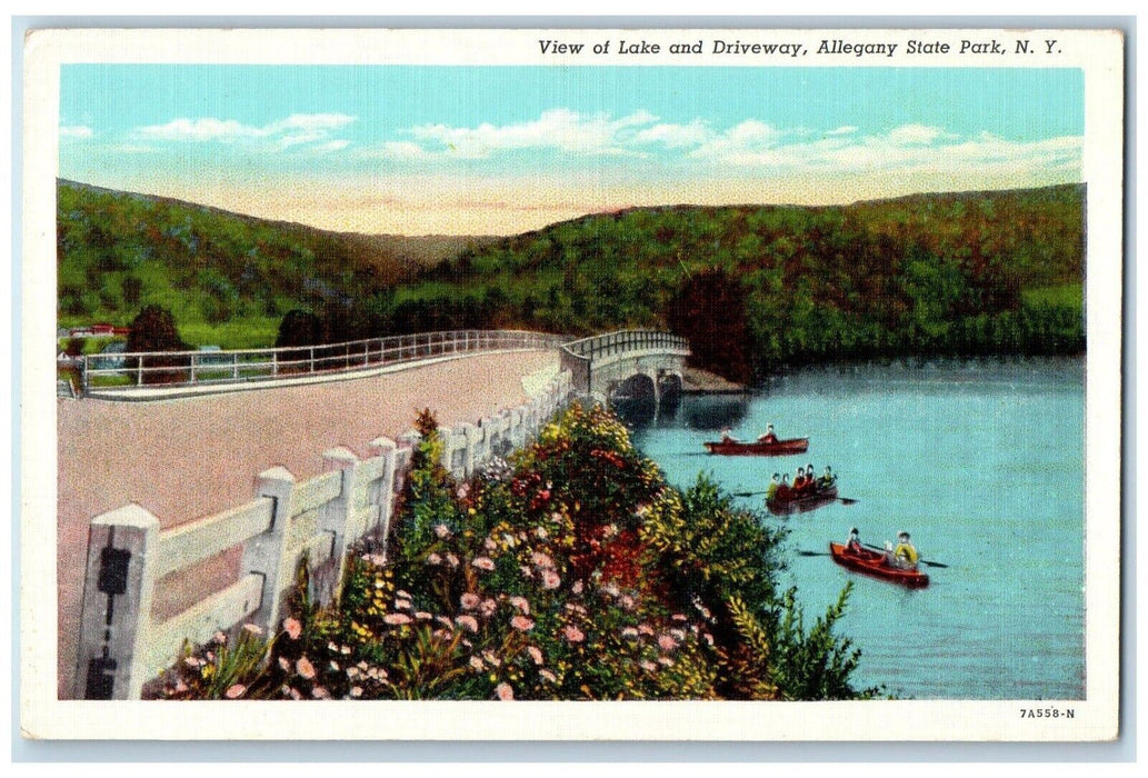 c1940 View Lake Driveway Paddle Boat Allegany State Park New York NY Postcard