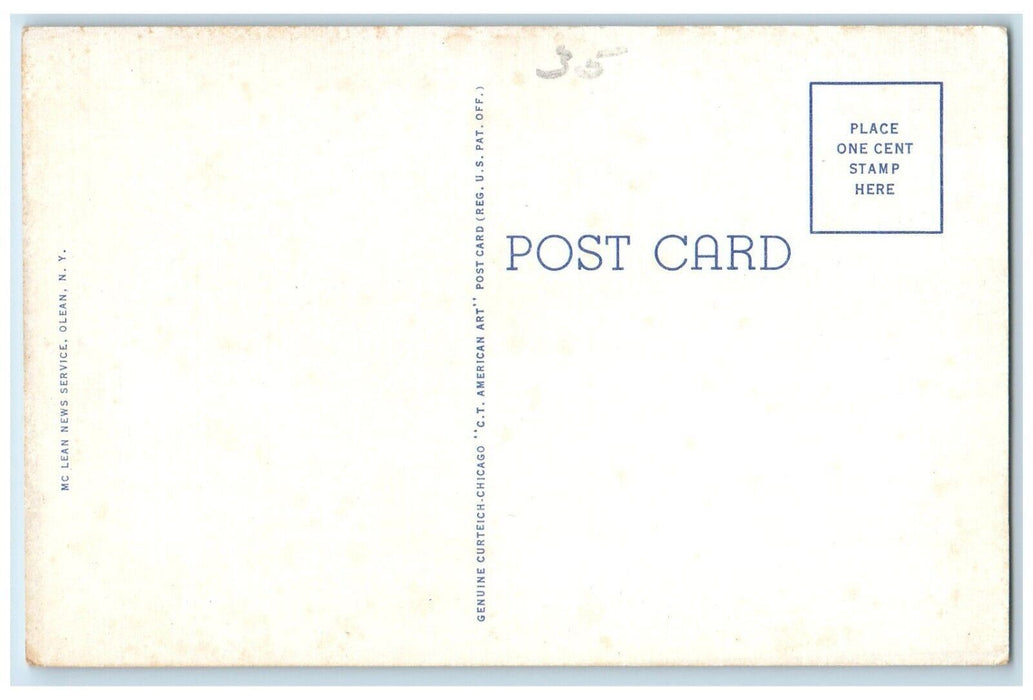 c1940 View Lake Driveway Paddle Boat Allegany State Park New York NY Postcard