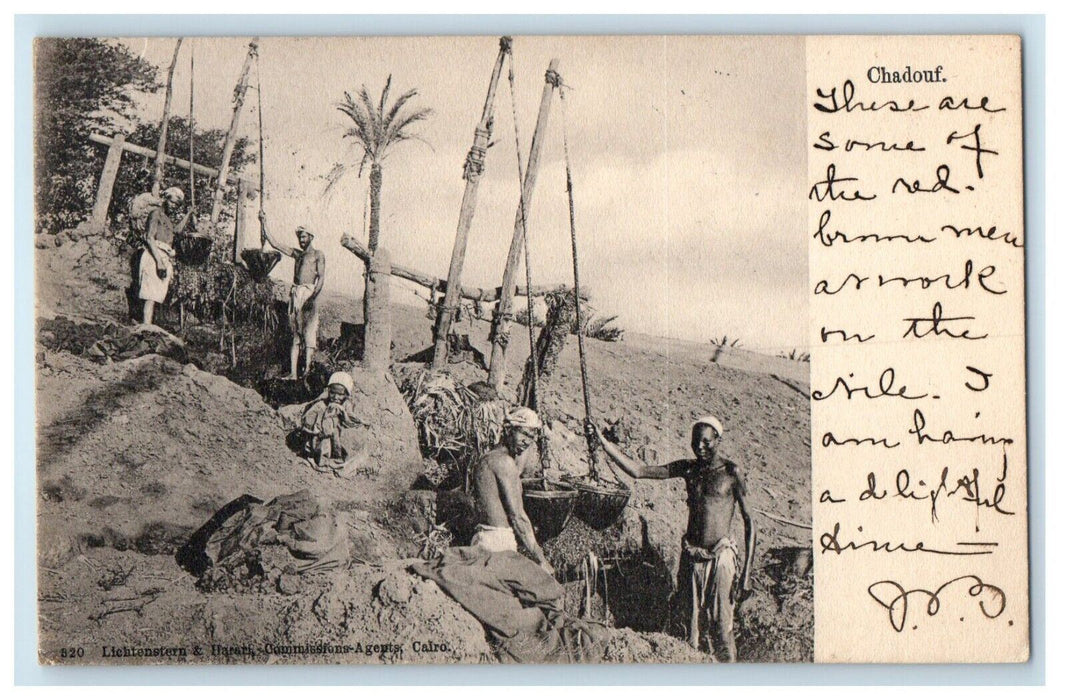 1903 Egypt to Long Island NY Chadouf Occupational Cairo Posted Postcard