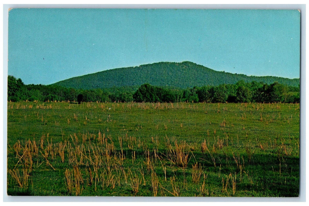 c1950's Peak at Kennesaw Mountain Battlefield Park Marietta Georgia GA Postcard