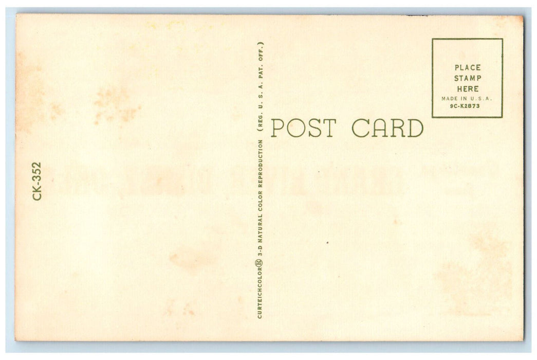 c1960's Caught Fish Motorboat Greetings from Grand River Disney OK Postcard