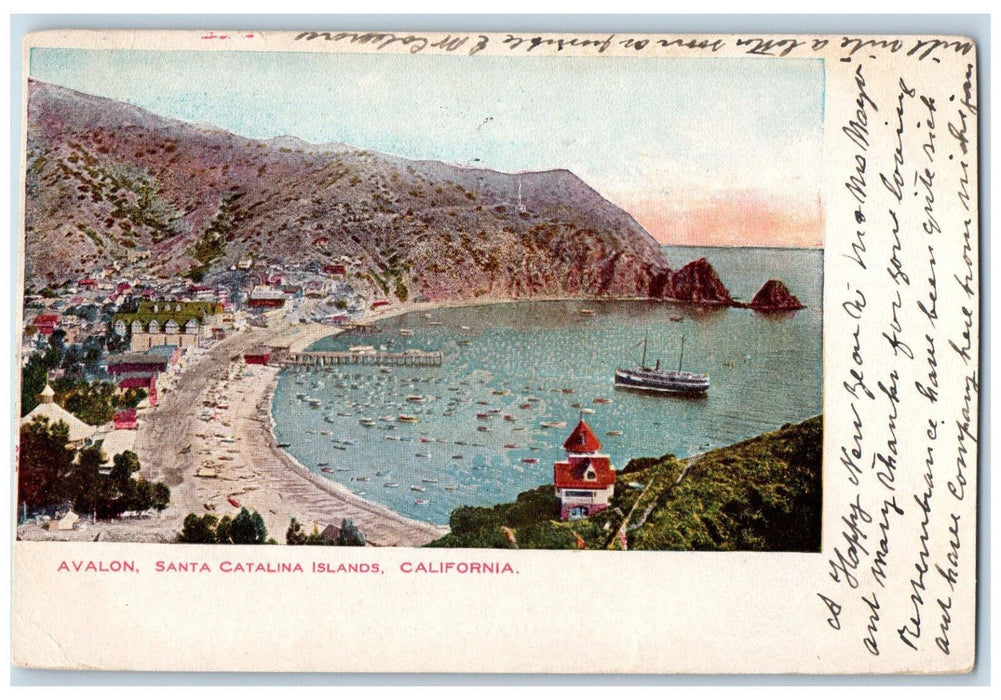 1906 Santa Catalina Islands Avalon California CA Posted Antique Postcard