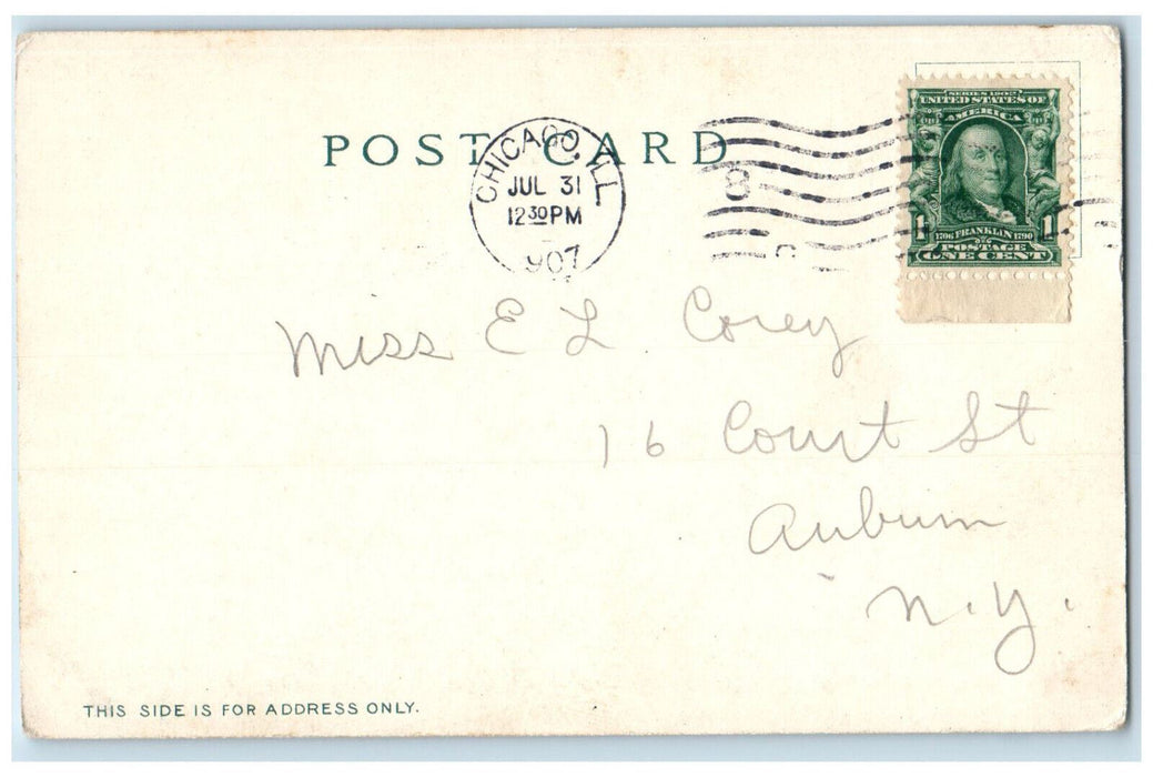 1907 Catalina Islands Avalon California CA Charles Weidner Photo Postcard