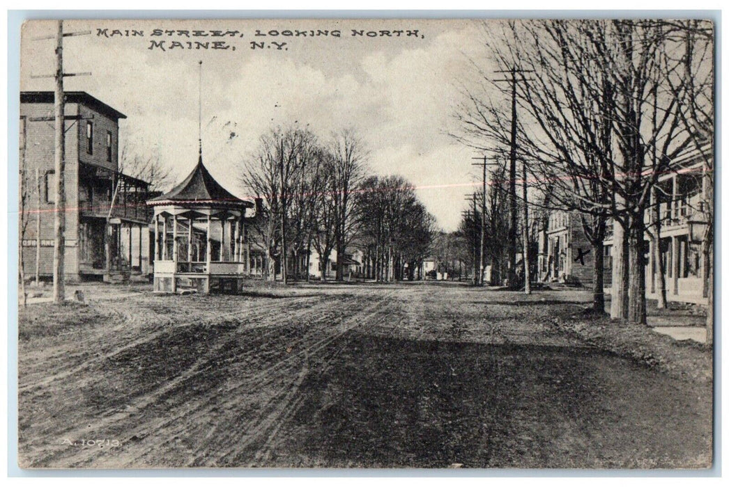 1917 Main Street Dirt Road Looking North Maine New York NY Antique Postcard