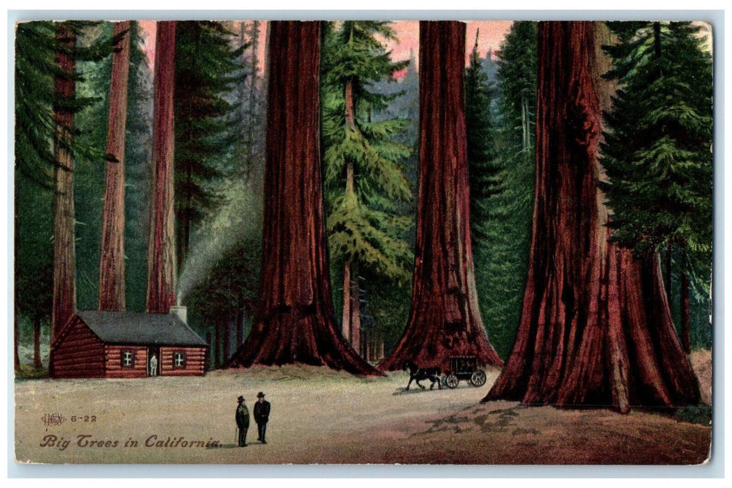1909 Horse Carriage Log Houses Big Trees in CA North Clarendon VT Postcard