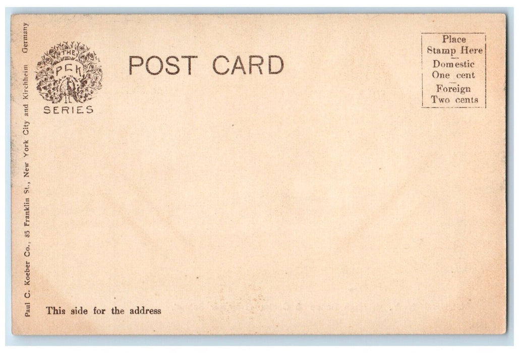 c1905 High School Central Grammar School Exterior Auburn New York PCK Postcard